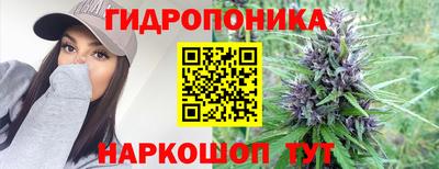 мяу мяу мука Новокубанск