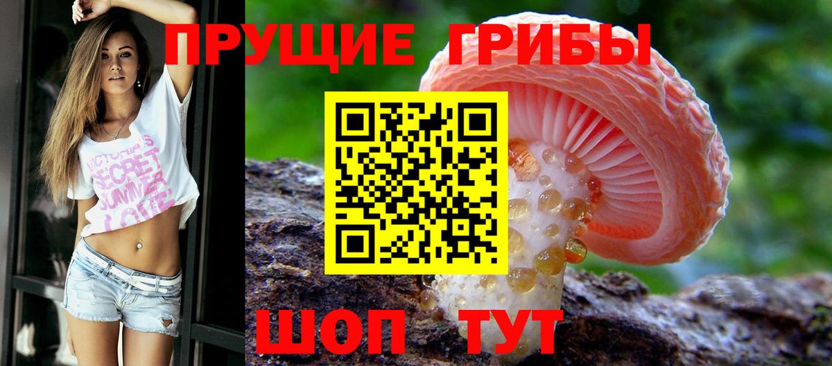 Галлюциногенные грибы мухоморы  что такое наркотик  Трёхгорный  Вход с VPN 