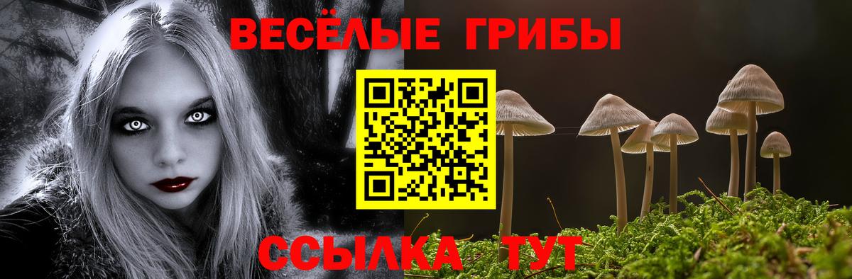 Галлюциногенные грибы мицелий Трёхгорный